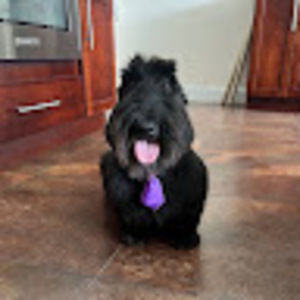 Meet your Posher, Alexandra